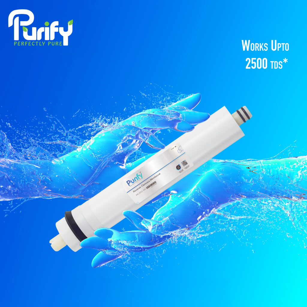 1080 purify
